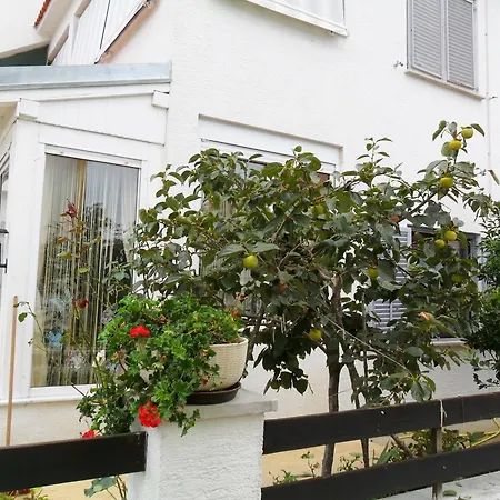In Gornje Petrcane, With Wonderful Sea View And Enclosed Garden * Petrcane